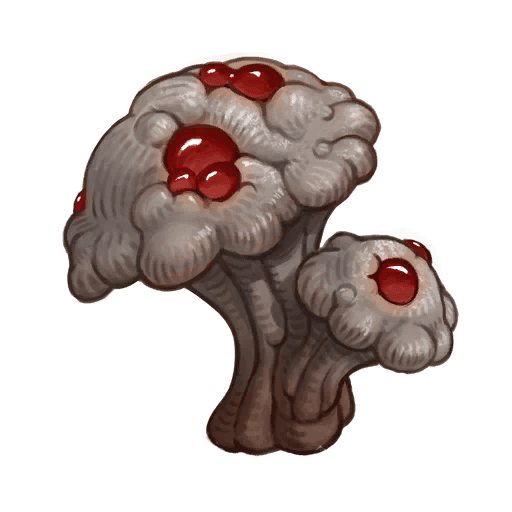 Agaric Mushroom