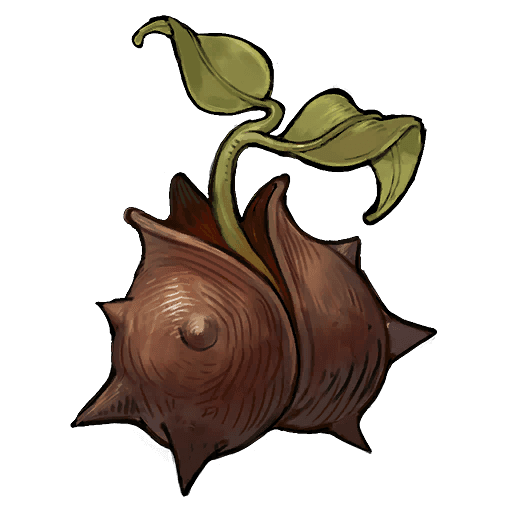 Baskbulb