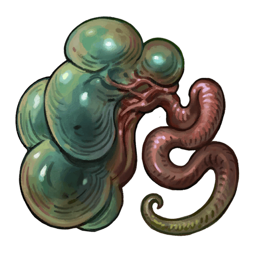 Bile Sack