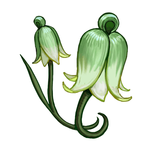 Maiden's Veil