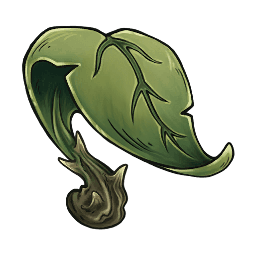 Will-o-Frond